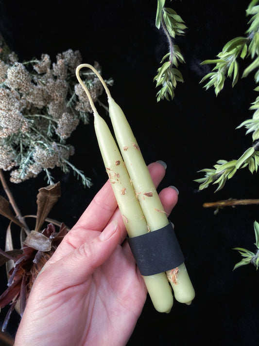 Bayberry Witches Wands - Hand Dipped, Taper Beeswax & Bayberry Wax Prosperity Candles (6" Chime)
